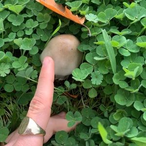 Meet your Posher, Blake